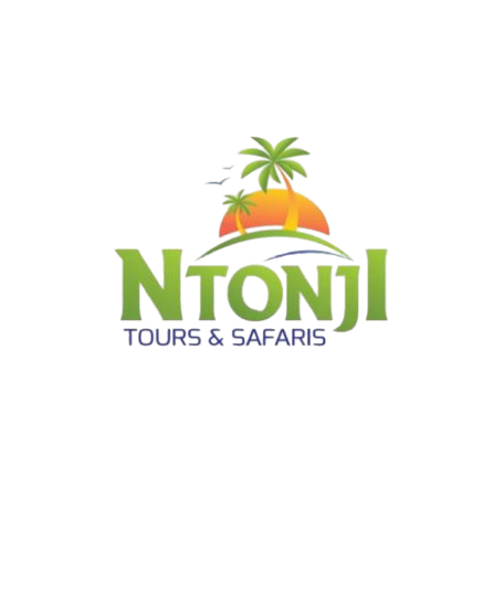 Cape Town Tours Logo